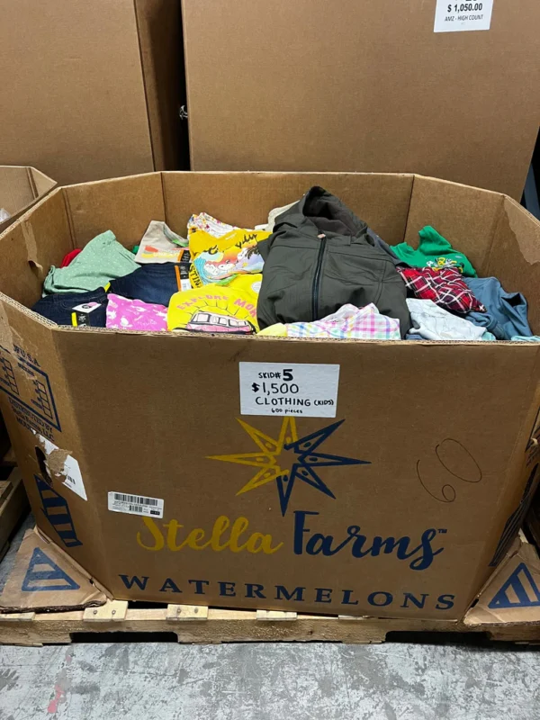 Clothing Pallet 600+ Pieces (Kids Clothing)