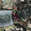 Clothing Pallet Mixed Retailers Liquidation