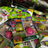 Leap Frog Toys- Brand New #7